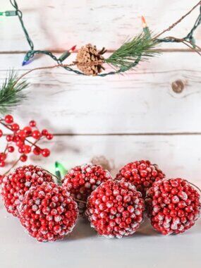 At Home Frosted Red Berries Ornaments - Set of 6 - NIP